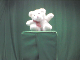 0 Degrees _ Picture 9 _ Small White Teddy Bear.png